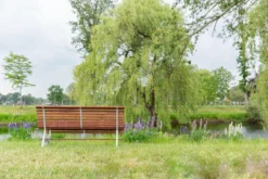 MaximaVida Tuinbank Budapest Oil 170 Cm - Uit Exclusief Mahoniehout 15 MaximaVida Tuinbank Budapest Oil 170 Cm - Uit Exclusief Mahoniehout -Tuinmeubelen 1200x800 259