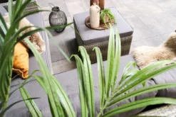 Fonteyn | Loungeset Connor | Melange -Tuinmeubelen 1200x800 340