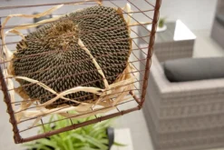 Garden Impressions Montana Loungeset - Organic Grey -Tuinmeubelen 1200x801 14